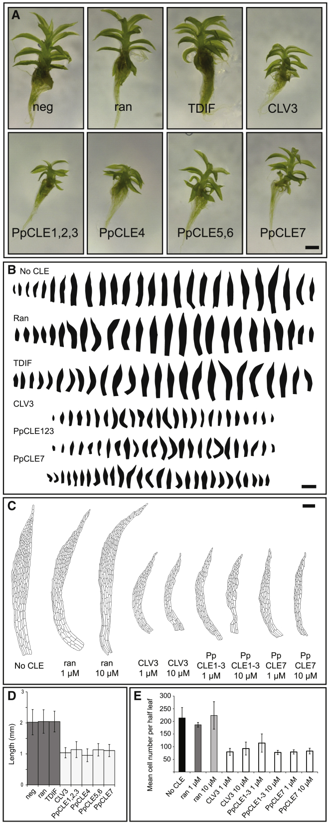 Figure 6