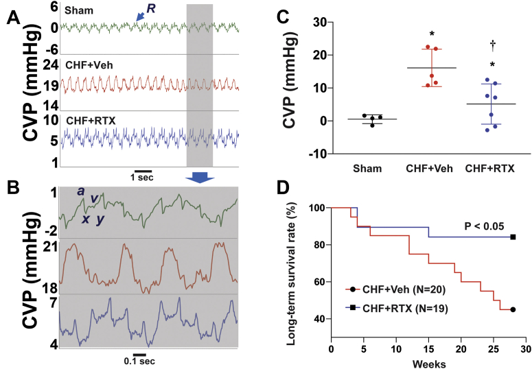 Figure 6