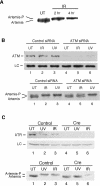 FIG. 5.