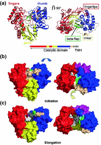 Fig. 3