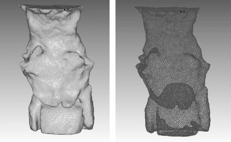 Figure 3. (A) 3D airway model and (B) mesh model file demonstrating tetrahedral elements.