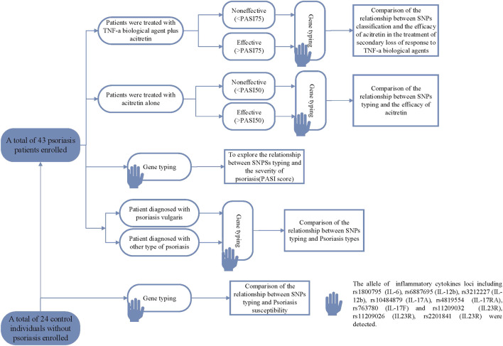 FIGURE 1