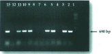 [Table/Fig-3]: