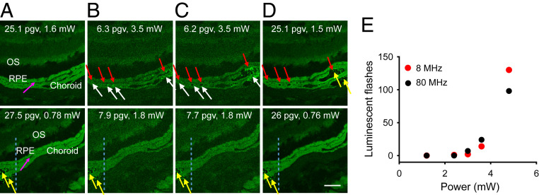 Fig. 4.