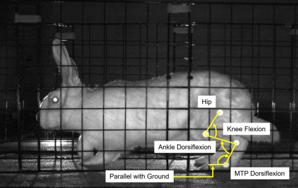 Fig. 2