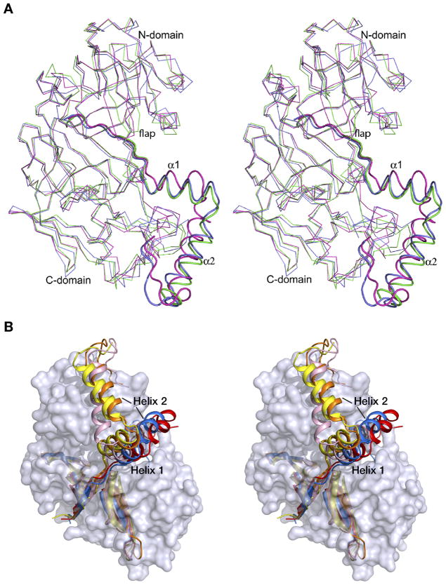 Figure 5