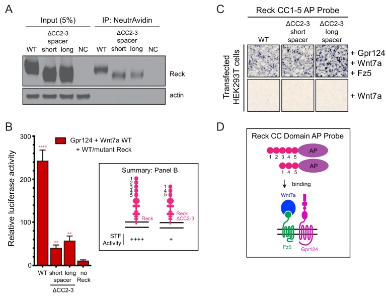 Figure 3—figure supplement 1.