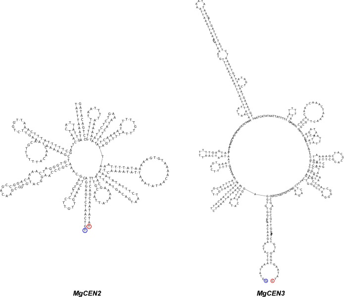 Figure 7—figure supplement 4.