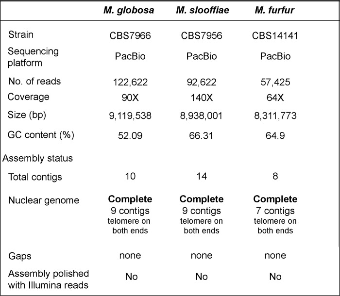 Figure 1—figure supplement 1.