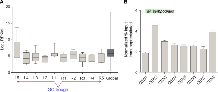 Figure 3—figure supplement 1.