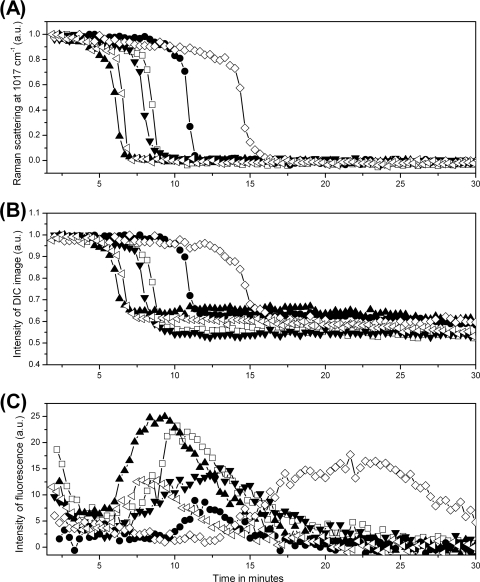 Fig. 4.