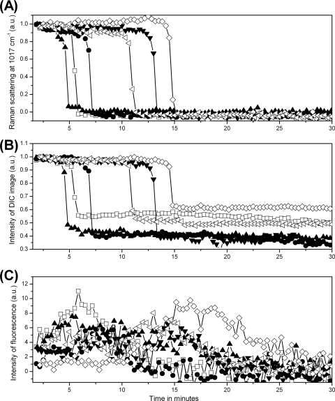 Fig. 5.