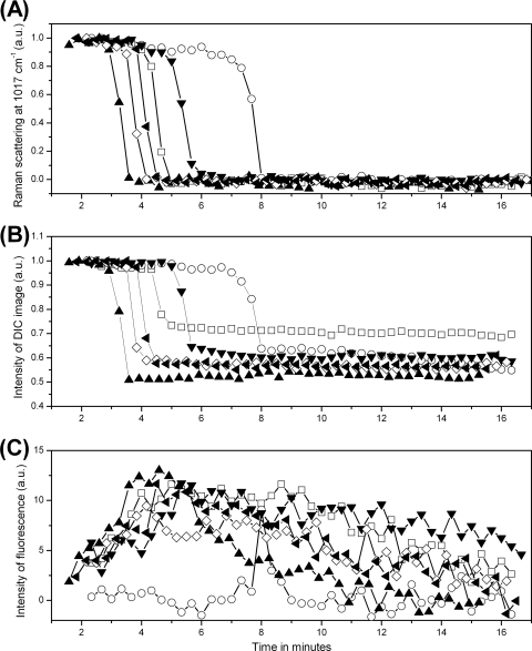 Fig. 6.