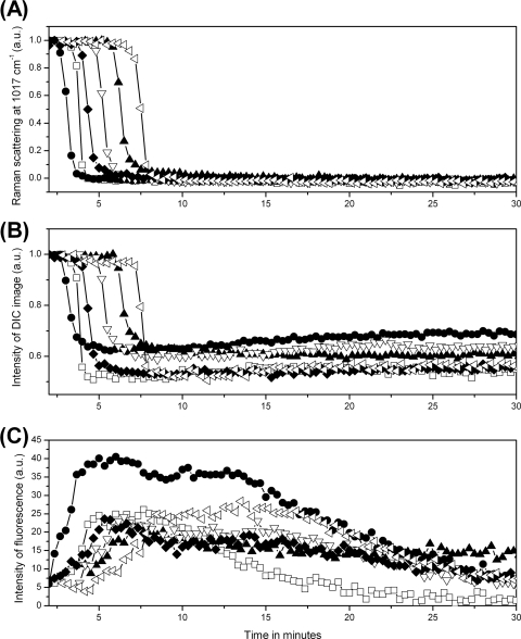 Fig. 3.