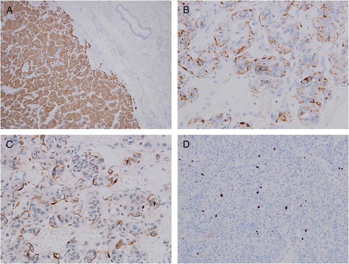 Figure 4: