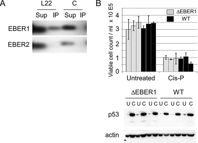 FIG 1