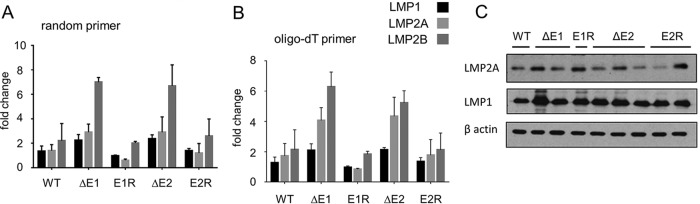 FIG 3