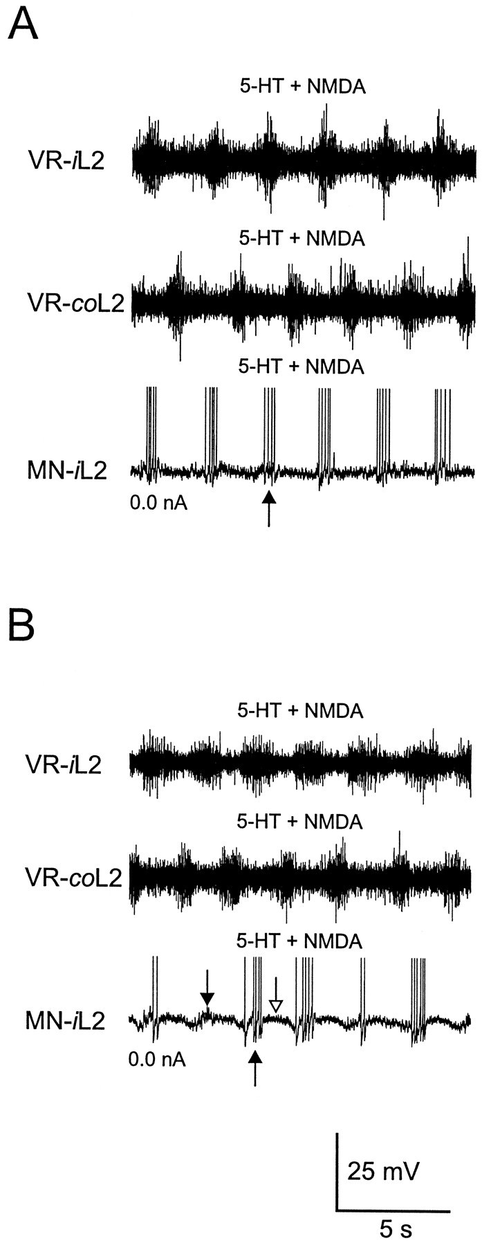 Fig. 8.