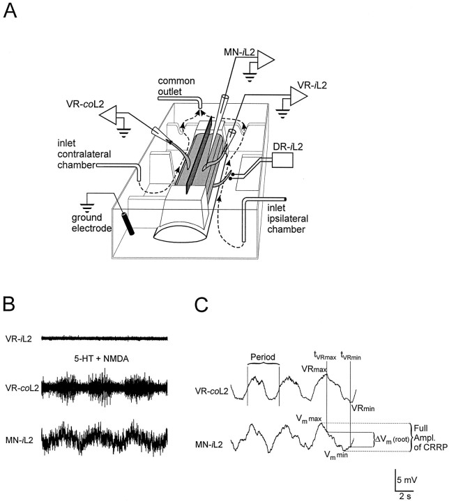 Fig. 1.