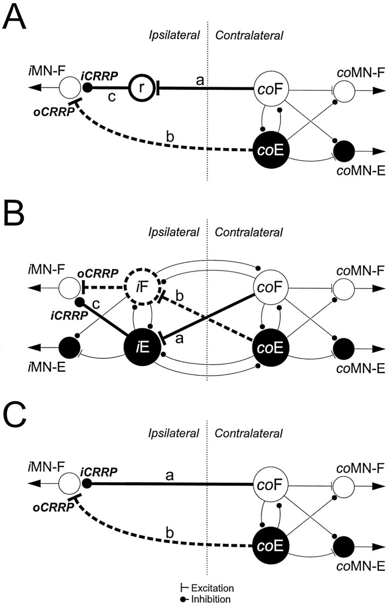 Fig. 9.