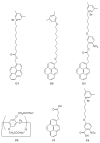 Scheme 3