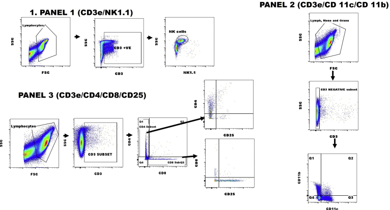 Fig. 2