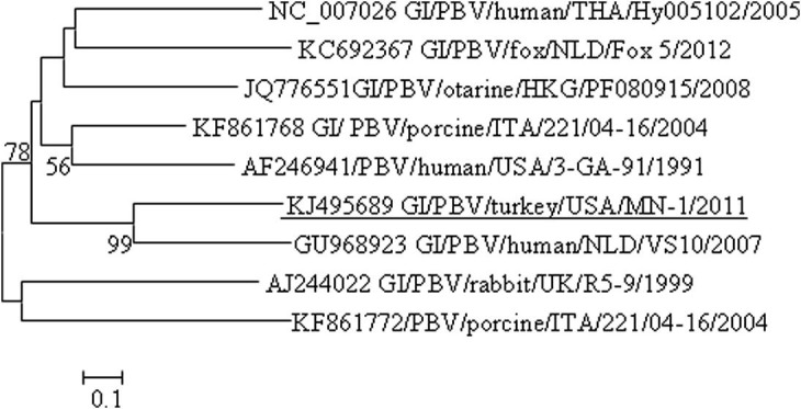 Fig. 2