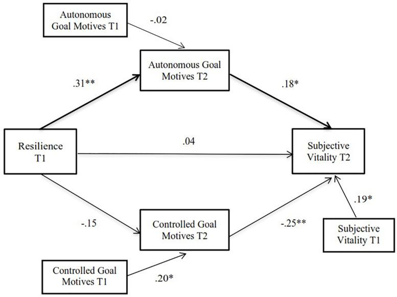 FIGURE 1