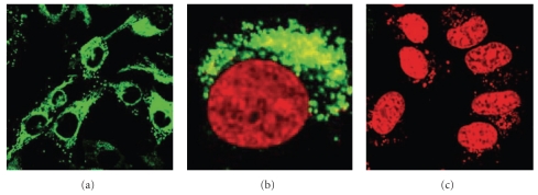 Figure 9