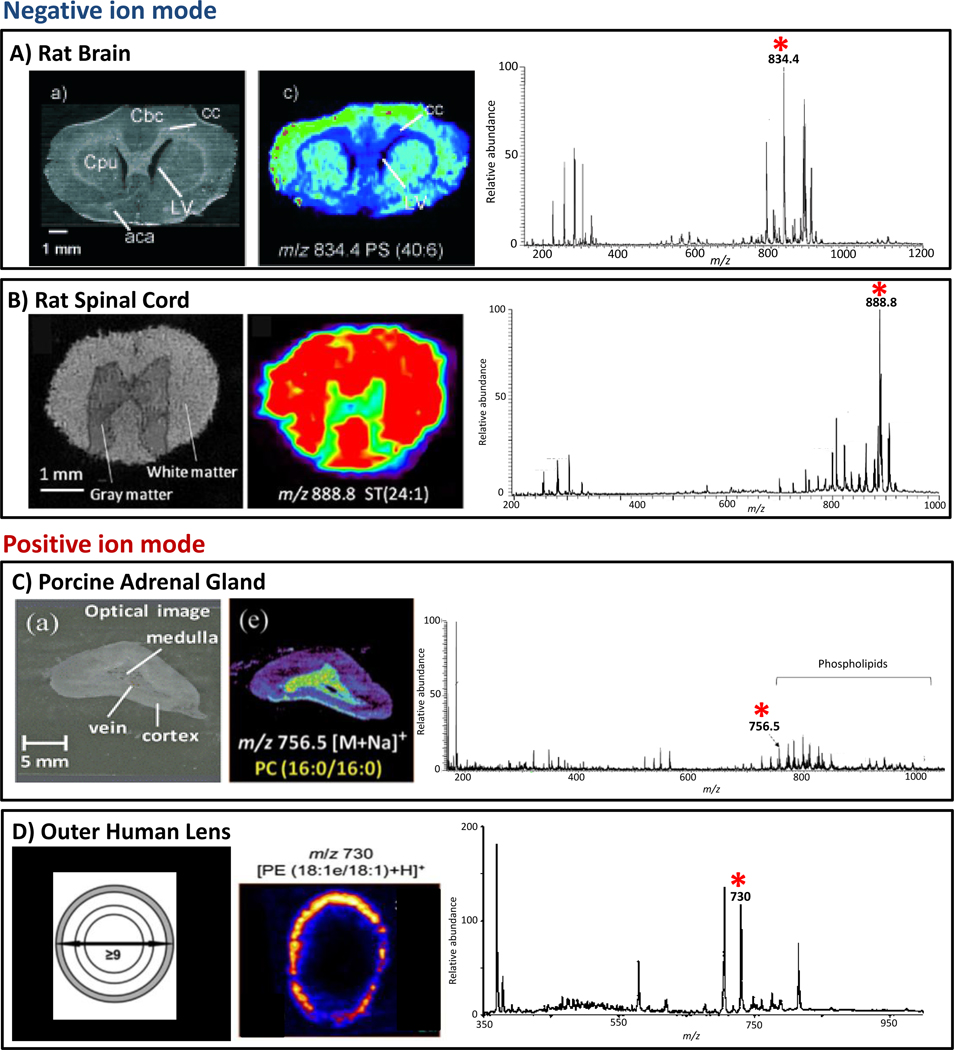 Fig. 8