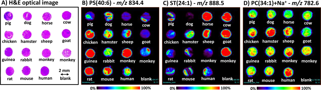 Fig. 2