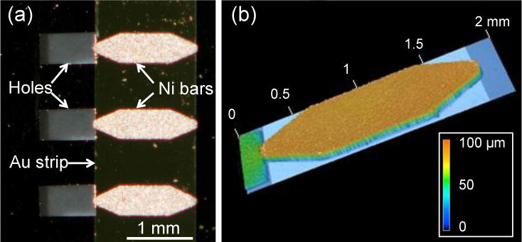 Fig. 3