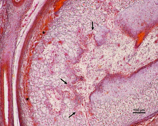 Fig. 10