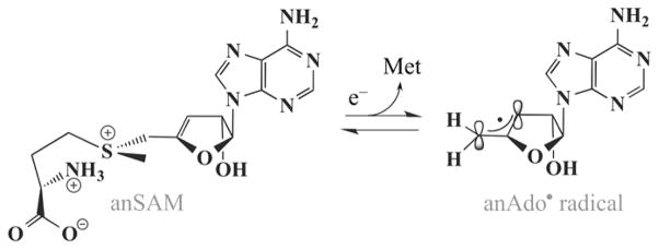 Scheme 3