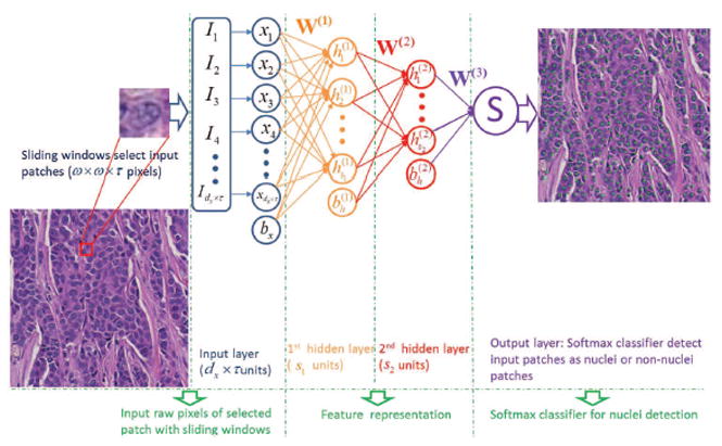 Fig. 3