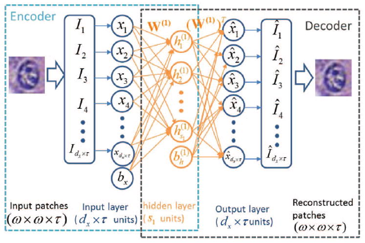 Fig. 1