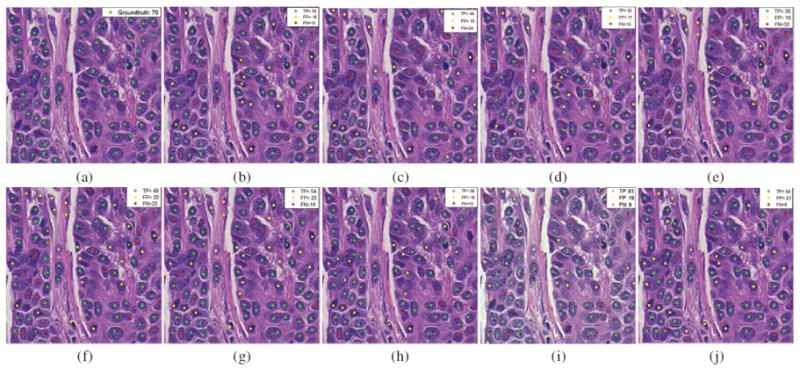 Fig. 6