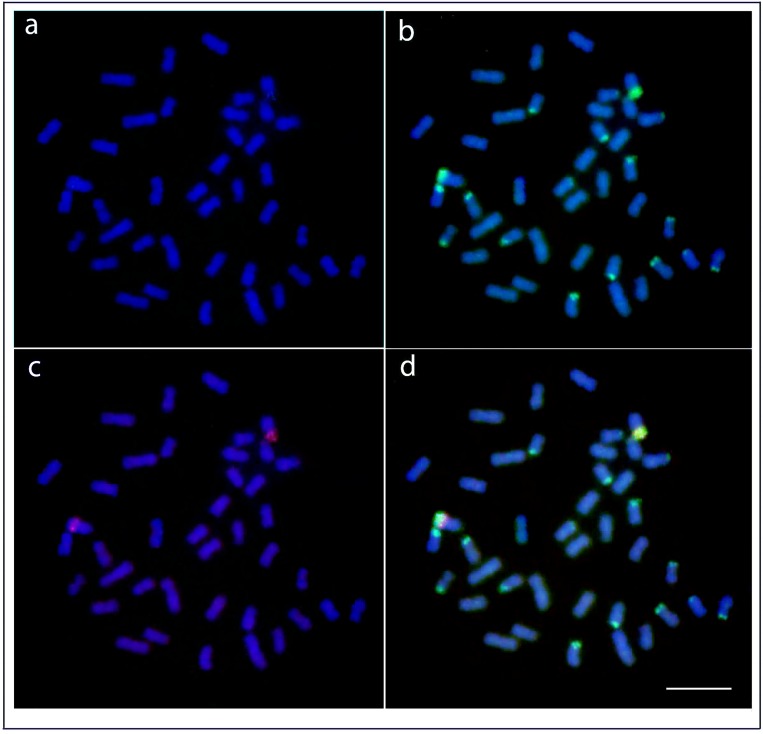 Fig 4