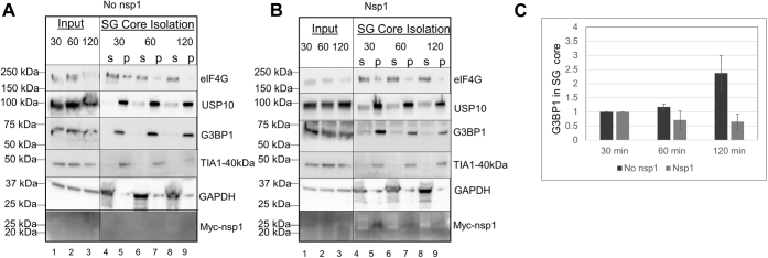 Figure 7