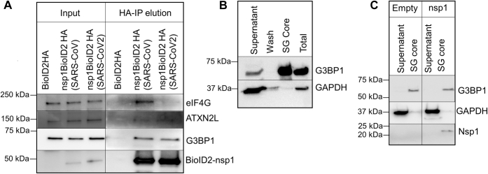 Figure 5