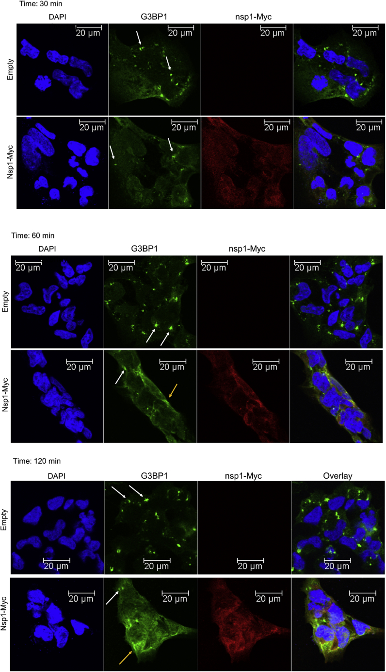 Figure 6