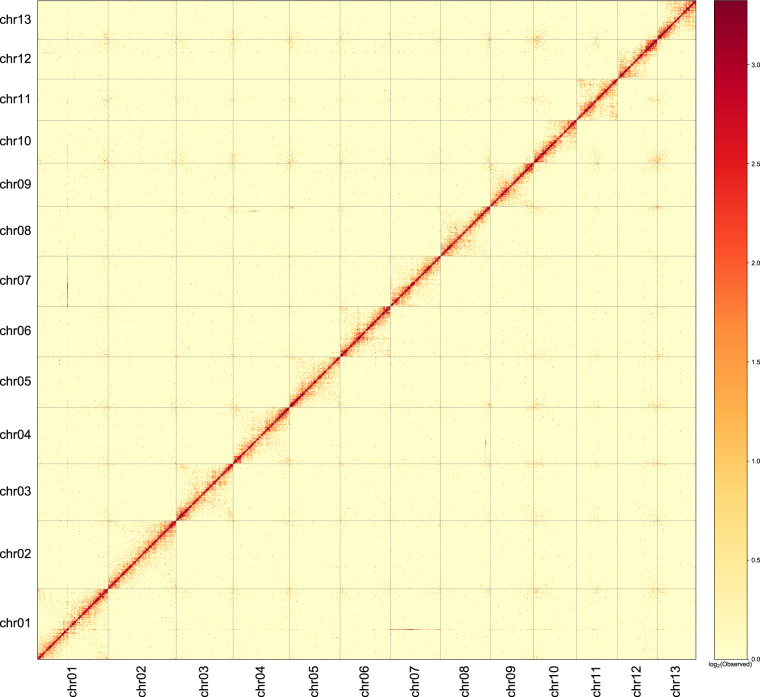 Fig. 3