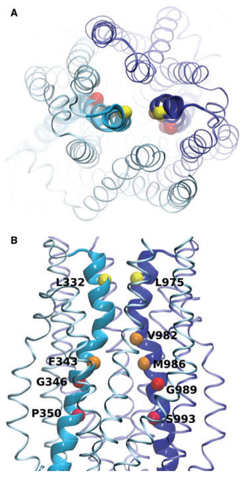 Fig. 4