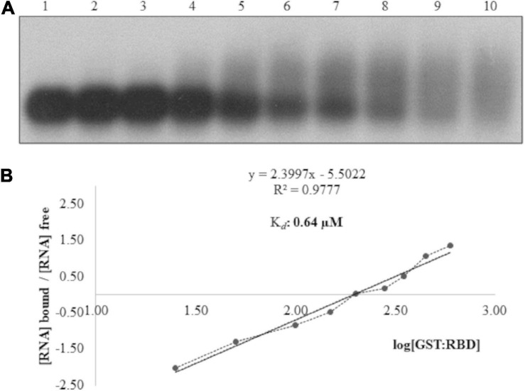 FIGURE 3