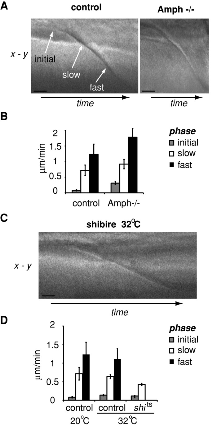 FIGURE 7: