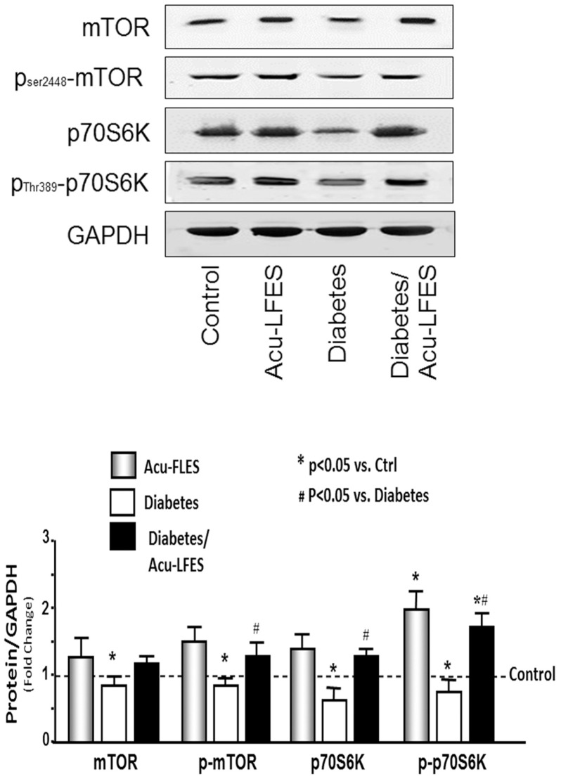 Fig 5