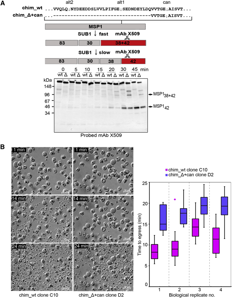 Figure 5