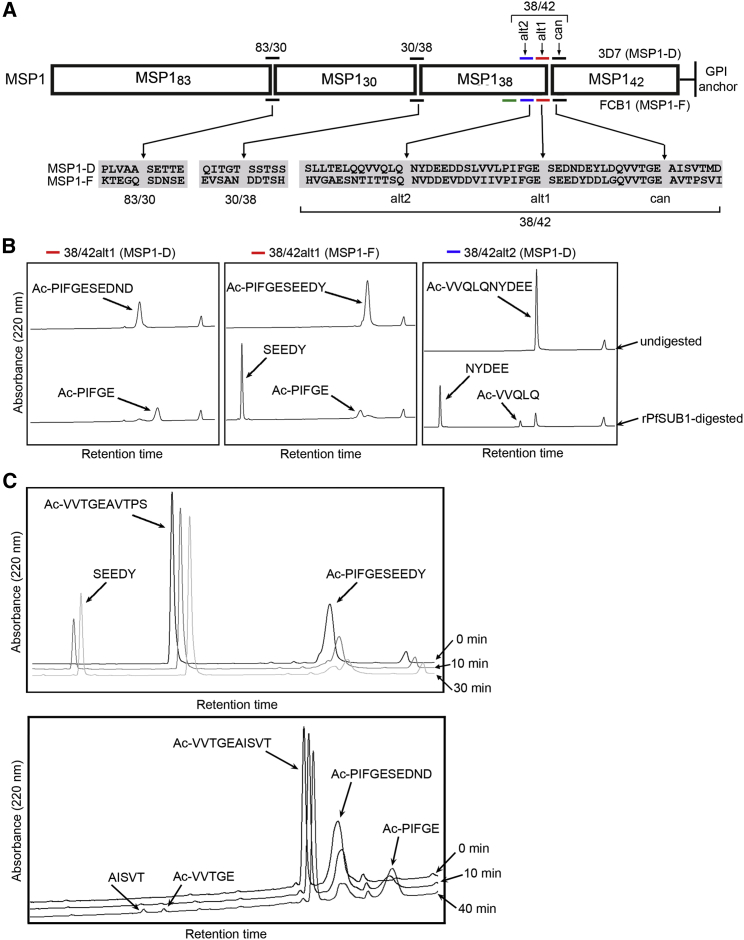 Figure 1