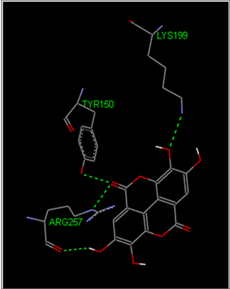 Fig. 9