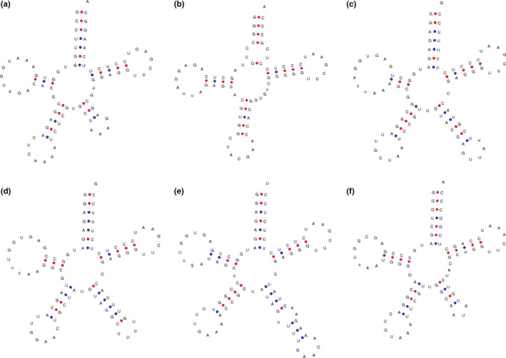 FIGURE 2